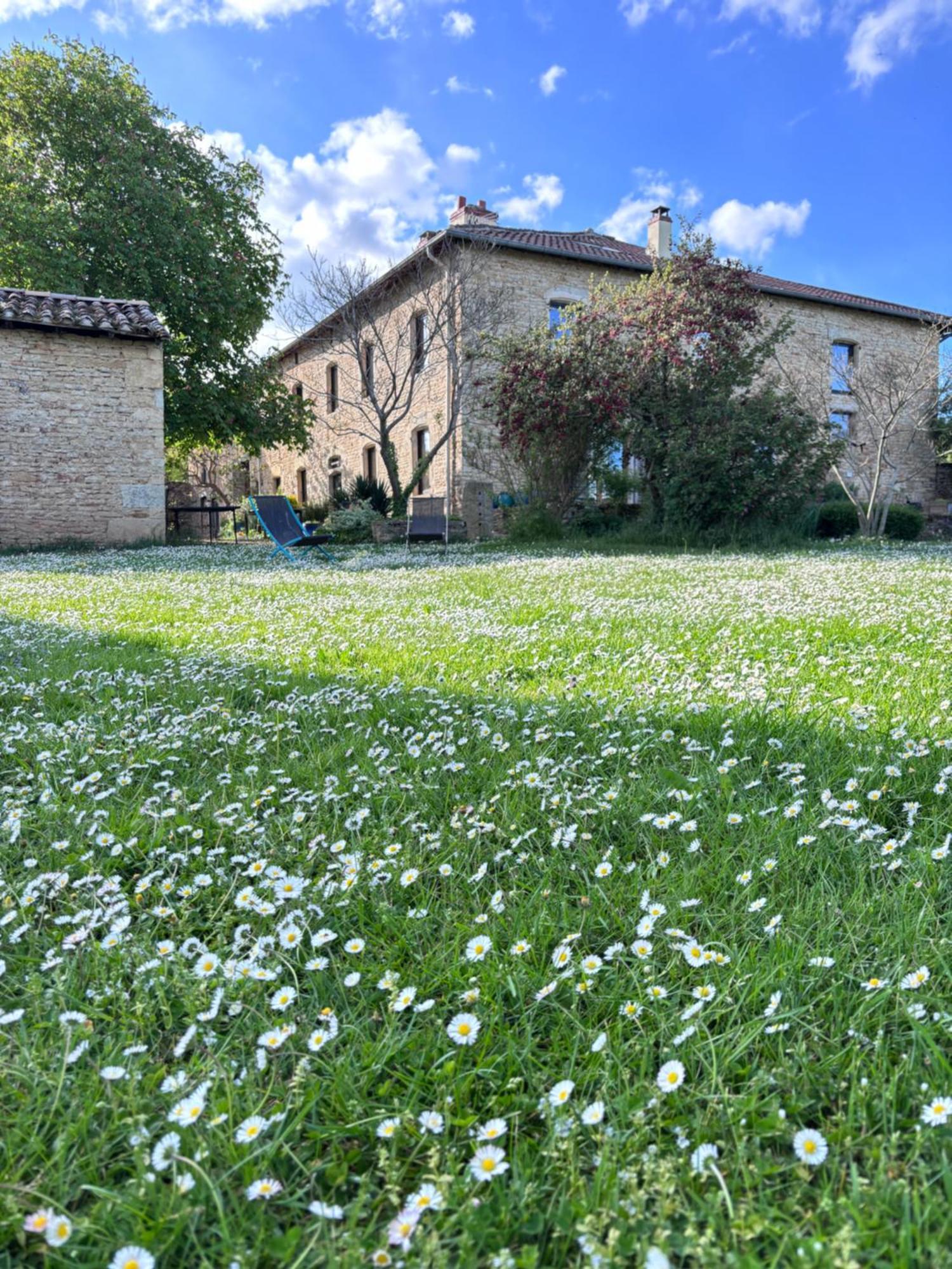 Domaine Du Vernay Mazille Exteriör bild