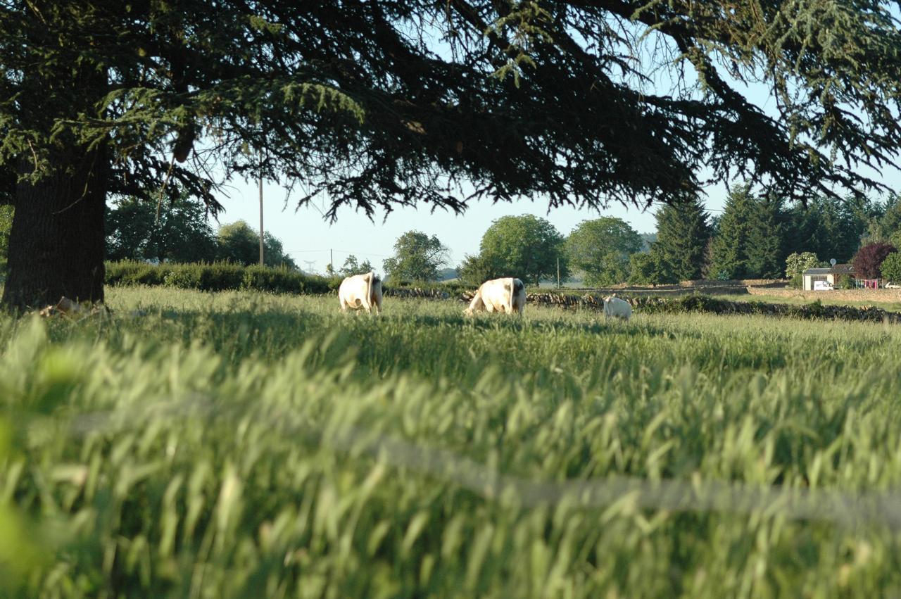 Domaine Du Vernay Mazille Exteriör bild